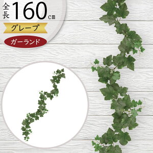 K[h  lC  tFCNO[ CeAO[ lHϗtA  A[eBtBVt[ A fR[V fBXvC t ǖʑ V  