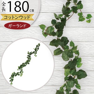 K[h  lC  A tFCNO[ CeAO[ lHϗtA  A[eBtBVt[ fR[V fBXvC t ǖʑ tF