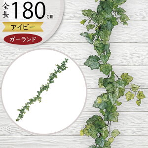 K[h  lC  tFCNO[ CeAO[ lHϗtA   A[eBtBVt[ A fR[V fBXvC t ǖʑ V 