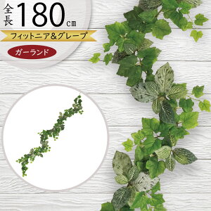 K[h  lC  tFCNO[ CeAO[ lHϗtA  A[eBtBVt[ A fR[V fBXvC t ǖʑ V t