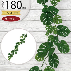 tFCNO[ K[h Xe ϗtA lC  A CeAO[ c^    lHϗtA t IuWF A[gO[ t[AWg {