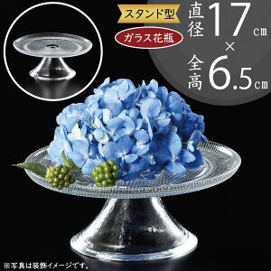 R|[g KXԕr  lC t[x[X X^h t Ԋ ԕr KXԊ KX  CeA Ɏq u t[AWg e[uR[fBl[g fB