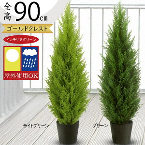 tFCNO[ Op OΉ  S[hNXg Rjt@[ lC A CeAO[ ϗtA lHϗtA lH  A[gO[  CeA  