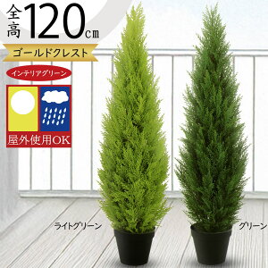 tFCNO[ Op OΉ  S[hNXg Rjt@[ lC A CeAO[ ϗtA lHϗtA lH  A[gO[  CeA  