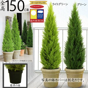 tFCNO[ Op OΉ  S[hNXg Rjt@[ lC A CeAO[ ϗtA lHϗtA lH  A[gO[  CeA  