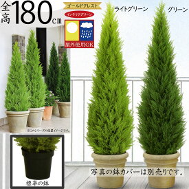フェイクグリーン 屋外用 屋外対応 大型 おしゃれ ゴールドクレスト コニファー 人気 リアル インテリアグリーン 観葉植物 人工観葉植物 人工樹木 造花 アートグリーン 緑 お洒落 インテリア お庭 バルコニー ファサード ベランダ テラス 屋上 特大 大きい 鉢付き 全高180cm