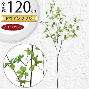 hE_ccW tFCNO[ ^  ϗtA A lC CeAO[  lHϗtA lH  A[gvc A[gO[ CeA  fBX