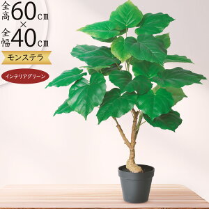 tFCNO[  ϗtA Ex[^ A lC  CeAO[ CeA  A[gO[  lHϗtA lH { ^ ~hTCY 