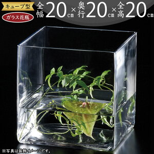 ガラス花瓶 おしゃれ 人気 フラワーベース 花器 花瓶 ガラス花器 ガラス キューブ 四角 ボックス 箱型 BOX インテリア 透明 クリア 硝子 花入れ フラワーアレンジメント 観葉植物 ミニ観葉 デ
