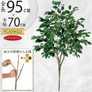 tFCNO[  xW~ ϗtA A lC CeAO[  lHϗtA   A[gvc A[gO[ CeA  fBXvC A