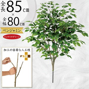 tFCNO[  xW~ ϗtA A lC CeAO[  lHϗtA   A[gvc A[gO[ CeA  fBXvC Iu