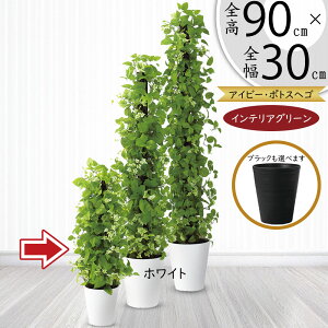 |gX x wS tFCNO[  lC CeAO[ A lHϗtA ϗtA lH  ^[ ACr[ ~bNX CeA IuWF Ƌ   r