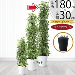 |gX x wS tFCNO[ ^  lC CeAO[ A lHϗtA ϗtA lH  ^[ ACr[ ~bNX CeA IuWF Ƌ  r