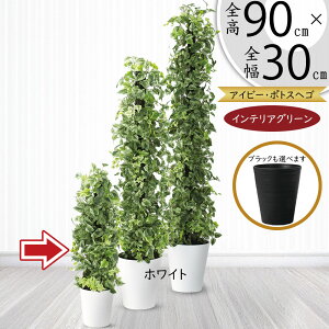 |gX x wS tFCNO[  lC CeAO[ A lHϗtA ϗtA lH  ^[ ACr[ ~bNX CeA IuWF Ƌ   r