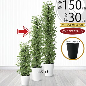 |gX x wS ^ tFCNO[  lC CeAO[ A }[u|gX lHϗtA ϗtA lH  ^[ CeA IuWF Ƌ  rO