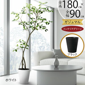 フェイクグリーン 大型 ガジュマル カジュマル 観葉植物 人気 リアル おすすめ インテリアグリーン 人工観葉植物 造花 緑 人工樹木 インテリア アートグリーン オブジェ ギフト 新築祝い 開