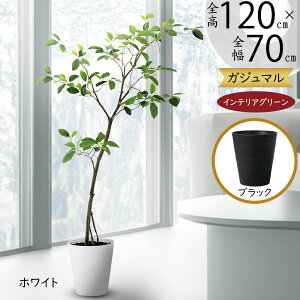 フェイクグリーン ガジュマル カジュマル 観葉植物 人気 リアル おすすめ インテリアグリーン 人工観葉植物 造花 人工樹木 インテリア アートグリーン オブジェ ギフト 新築祝い 開店祝い