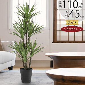 tFCNO[ A  lC A  CeAO[ AKx AKF E[c lHϗtA lH  A[gO[ ϗtA  CeA Mt