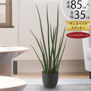 tFCNO[ A TZxA X^bL[ TXxA  lC A  CeAO[ lHϗtA lH  A[gO[ ϗtA  CeA