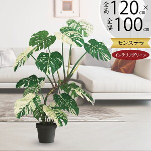 tFCNO[ Xe   lC  A CeAO[ ^ ~hTCY lHϗtA lH  CeA IuWF { ChAO[