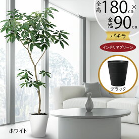 フェイクグリーン おしゃれ 大型 観葉植物 パキラ 幸福の木 リアル 人気 おすすめ 人工観葉植物 樹木 造花 インテリアグリーン アートグリーン インテリア 特大 大きい 大きめ お洒落 室内 ディスプレイ オブジェ 新築祝い 引っ越し祝い シンボルツリー 高品質 FST 全高180cm