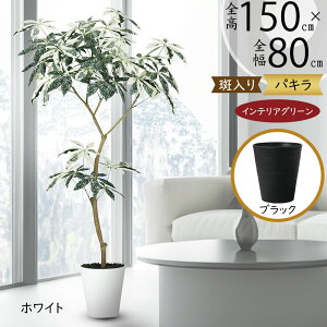 tFCNO[ ϗtA pL ~L[EFC  CeAO[ A lC  ^  CeA  lHϗtA  A[gO[ IuWF ei