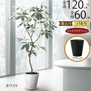 tFCNO[ ϗtA pL  CeAO[ A lC ~L[EFC   ~h CeA  lHϗtA lH A[gO[ IuWF 