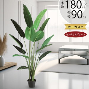 Xg`A Xg`A tFCNO[ ^  lC  A CeAO[ lHϗtA  lH ϗtA A[gO[ CeA IuWF  V