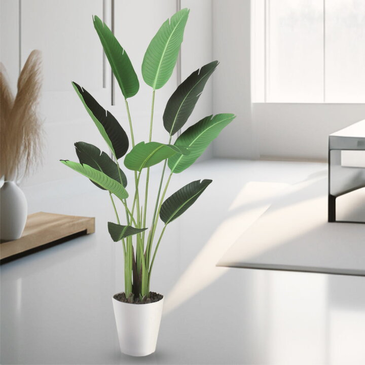 人工観葉植物 ストレリチア・レギネ 1.5m