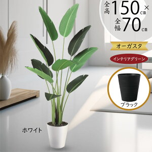 Xg`A Xg`A tFCNO[  lC  A CeAO[ lHϗtA  lH ϗtA A[gO[ CeA IuWF ^  