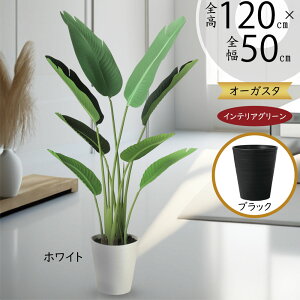 Xg`A Xg`A tFCNO[  lC  A CeAO[ lHϗtA  lH ϗtA A[gO[ CeA IuWF   