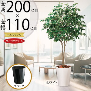 tFCNO[ ^  xW~ tBJX xW~i lC CeAO[ A ϗtA lHϗtA lH  A[gO[  CeA IuWF 