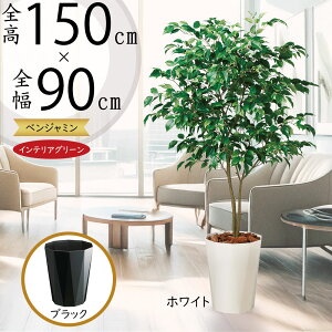 tFCNO[ ^  xW~ tBJX xW~i lC CeAO[ A ϗtA lHϗtA   A[gO[  CeA IuWF  