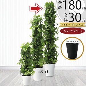 |gX x wS tFCNO[ ^  lC CeAO[ A lHϗtA ϗtA lH  ^[ ACr[ ~bNX CeA IuWF Ƌ  r