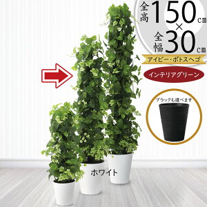 |gX x wS tFCNO[ ^  lC CeAO[ A lHϗtA ϗtA lH  ^[ ACr[ ~bNX CeA IuWF Ƌ  r