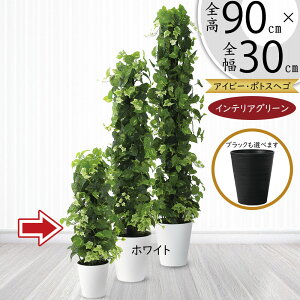 |gX x wS tFCNO[  lC CeAO[ A lHϗtA ϗtA lH  ^[ ACr[ ~bNX CeA IuWF Ƌ   r