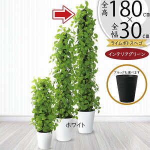 |gX x wS ^ tFCNO[  lC CeAO[ A C|gX lHϗtA ϗtA lH  ^[ CeA IuWF Ƌ   r