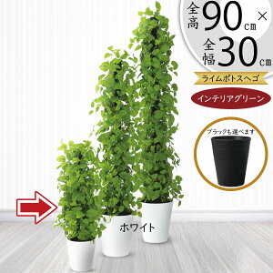 |gX x wS tFCNO[  lC CeAO[ A C|gX lHϗtA ϗtA lH  ^[ CeA IuWF Ƌ   rO 