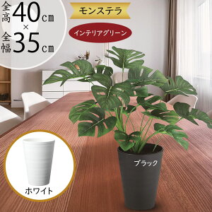 tFCNO[ Xe  lC  A CeAO[ ^   lHϗt lH  CeA IuWF { ChAO[  r