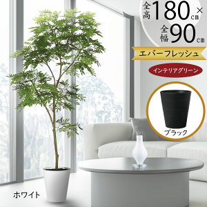 tFCNO[ ^ lmL ˂ނ̖ l̖  A CeAO[ lHϗtA  A[gO[ CeA lH Mtg Vzj JXj j  