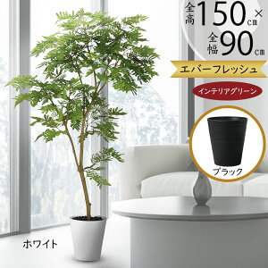 tFCNO[ lmL l̖ ˂ނ̖  A CeAO[ lHϗtA  A[gO[ CeA lH Mtg Vzj JXj j  t