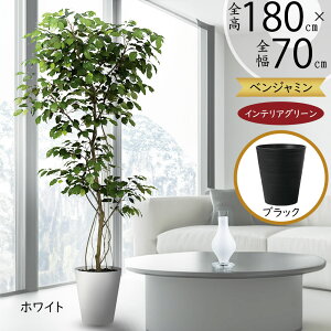 tFCNO[ ^  xW~ tBJX xW~i ϗtA A lC  CeAO[ lHϗtA lH  CeA A[gO[ {