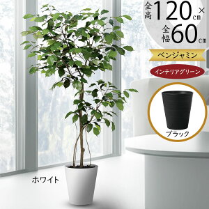 tFCNO[  xW~ tBJX xW~i ϗtA A lC  CeAO[ lHϗtA lH  CeA A[gO[  {