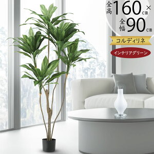 tFCNO[ RfBl  lC A CeAO[ ϗtA lHϗtA lH  A[gO[ CeA IuWF  Vzj JXj Mtg {