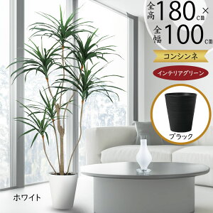 hZi RVl ^ tFCNO[  lC CeAO[ A lHϗtA lH  A[gO[  rO ItBX X Mtg Vzj z