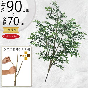 tFCNO[  glR V}glR ϗtA A lC CeAO[  lHϗtA lH  A[gvc A[gO[ CeA  fB