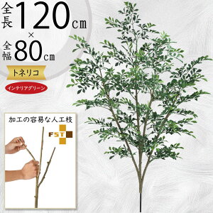 tFCNO[  glR V}glR ϗtA A lC CeAO[  lHϗtA lH  A[gvc A[gO[ CeA  fB