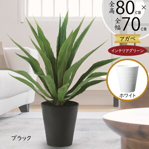 tFCNO[ A  lC A  CeAO[ AKx AKF E[c lHϗtA lH  A[gO[ ϗtA  CeA Mt