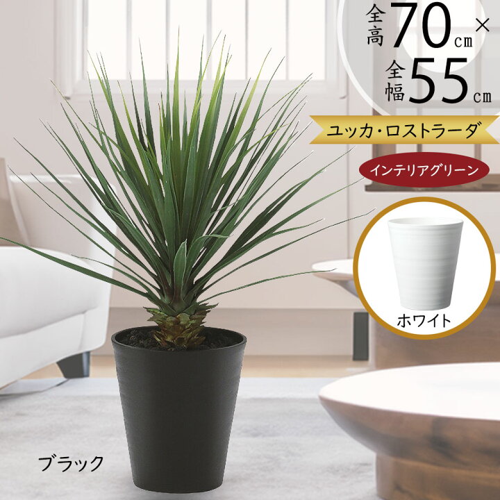 楽天市場】ユッカ ロストラータ フェイクグリーン おしゃれ 人気 