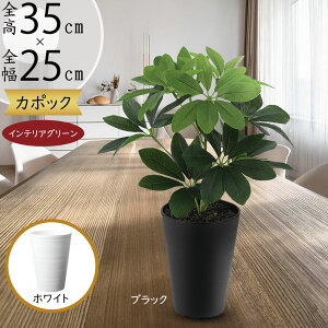 tFCNO[  VFt J|bN lC  A CeAO[ lHϗtA  lH ϗtA A[gO[ A[gvc IuWF CeA Ƌ